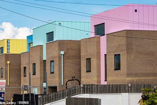 Moradores criticaram casas recém-construídas que ‘parecem peças de Lego’ e ‘não inclusivas’ em sua vila à beira-mar
