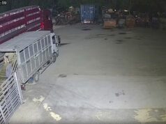 O fazendeiro do momento roubou ovelhas de um mercado de gado no escuro da noite antes de vendê-las como se fossem suas – já que cumpriu pena por roubar centenas de animais durante um período de sete anos.