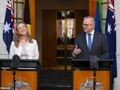 Falhas no trabalho para deputados individuais – grande impulso para Antony Albanese