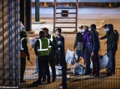 Australianos resgatados de navio de cruzeiro atingido por hantavírus devem usar EPI completo no voo de volta para casa