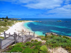 Homem de trinta anos atacado por tubarão de cinco metros de comprimento na Ilha Rottnest