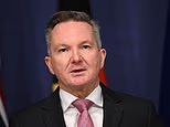 Contas de energia serão reduzidas para bilhões de australianos: quanto tempo você viverá