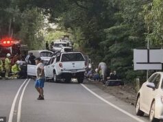 Mulher e criança mortas em colisão frontal na Rodovia Capitão Cook, Oak Beach