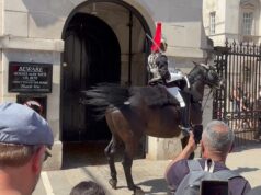 O momento em que os cavalos da Guarda do Rei ficaram entusiasmados com a onda de calor do Primeiro de Maio diante de uma multidão de turistas