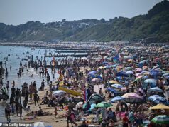 Conselhos à beira-mar distribuíram milhares de multas de estacionamento durante o fim de semana do feriado, enquanto os britânicos se aglomeravam para aproveitar a praia