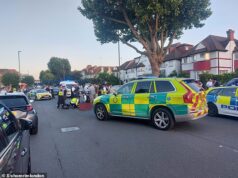Iranianos lutam por suas vidas após ‘atropelamento’ em Golders Green: cidadão iraquiano preso