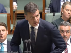‘Arrogante p *** k’: Angus Taylor dispara insultos grosseiros contra Antony Albanese em um debate simulado sobre as controversas mudanças fiscais do Partido Trabalhista