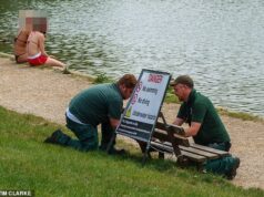 Repressão aos caçadores de sol ‘egoístas’: os guardas florestais de Hampstead Heath instalam uma placa de ‘proibido nadar’ depois que os pássaros ignoram a proibição do lago de mergulhar durante a onda de calor