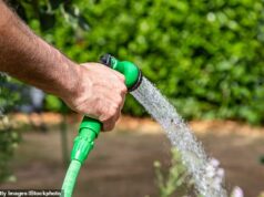 Pare de usar mangueiras, diz Thames Water em meio a temores de escassez de água após onda de calor recorde