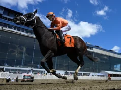 Proprietário do Hit Zero: Cavalo carinhoso ‘Eu não questiono’ antes da morte em Laurel Park