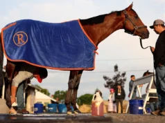Kentucky Derby: número de cavalos em campo completo, probabilidades atualizadas, zero