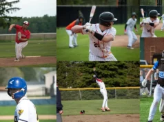 Destaques do beisebol do condado de Hillsdale, de 4 a 10 de maio