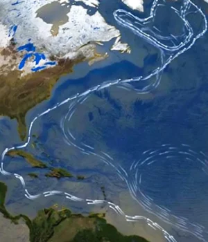 amoc-satellite-image.webp