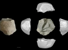 O povo da Idade do Gelo da China fabricou ferramentas de pedra incrivelmente avançadas há 146 mil anos