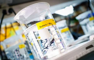 Biomaterial inovador cura tecidos de dentro para fora