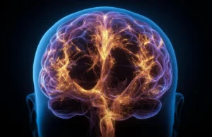 Varreduras cerebrais revelam uma grande diferença entre psicopatas e outras pessoas