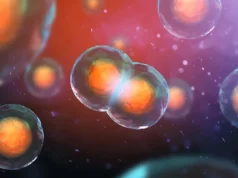 Cientistas descobriram por que algumas células duplicadas de DNA se recusam a morrer