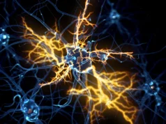 Cientistas descobrem por que nervos danificados lutam para curar