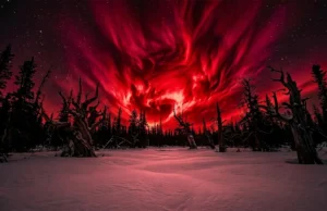 Tempestades solares mortais de “céu vermelho” de 800 anos atrás descobertas em árvores antigas
