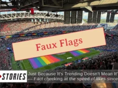 Verificação de fatos: foto falsa mostra a bandeira do arco-íris orgulhosamente em campo antes da partida da Copa do Mundo Irã-Egito – é gerada por IA