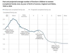 Crise do bebê: mulheres da Geração X esperam mais para constituir família e têm menos filhos… Projetada outra queda na Geração Z e na Geração Alfa