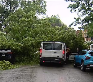 109282739-15891859-A_white_Ford_van_carrying_six_kids_was_crushed_by_a_gigantic_tre-m-13_17811880885.avif