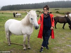 Revelado: O vigilante quango que quer matar todos os pôneis selvagens de Dartmoor – e nem fala com as pessoas que lutam por suas vidas…