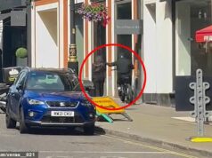 Um ladrão em uma bicicleta elétrica roubou o telefone de uma mulher enquanto ela caminhava por uma trilha no centro de Londres na manhã de domingo.