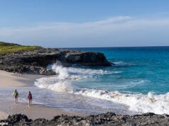 Menino americano de 12 anos é atacado por tubarão em resort de luxo no Caribe