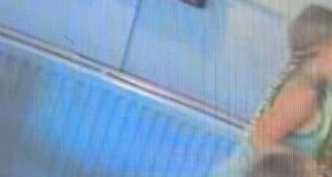 Um pub de uma vila divulgou CCTV depois que seu animal de estimação TURTLE Squirt foi ‘roubado do tanque por duas meninas’