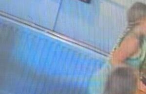 Um pub de uma vila divulgou CCTV depois que seu animal de estimação TURTLE Squirt foi ‘roubado do tanque por duas meninas’