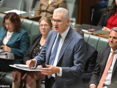 Uma noiva banida do ISIS foi autorizada a retornar à Austrália, já que Tony Burke revelou que ela recebeu permissão