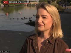Entrevista da BBC sobre como manter seus animais de estimação seguros em uma onda de calor interrompe… Cães aterrorizam a vida selvagem