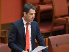 O Ministro da Saúde, Mark Butler, critica a explosão da ‘teoria da conspiração’ da gripe aviária do senador Alex Antik: ‘Excelente até para ele’