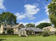 Dave ficou verde! O jardineiro experiente Cameron vence a batalha para criar uma horta gigante em sua casa de £ 2 milhões em Cotswolds depois da piscina ‘brega de Benidorm’