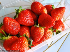 Os morangos são tão saudáveis quanto os nossos? Especialistas revelam os benefícios da fruta favorita de Wimbledon – e quem não deveria comer demais