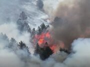 Grandes incêndios se espalharam por quase 1.000 acres de charnecas enquanto especialistas alertam que o esforço de “renaturalização” do Partido Trabalhista corre o risco de alimentar incêndios mortais