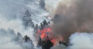 Grandes incêndios se espalharam por quase 1.000 acres de charnecas enquanto especialistas alertam que o esforço de “renaturalização” do Partido Trabalhista corre o risco de alimentar incêndios mortais