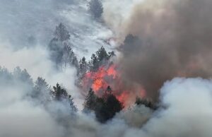 Grandes incêndios se espalharam por quase 1.000 acres de charnecas enquanto especialistas alertam que o esforço de “renaturalização” do Partido Trabalhista corre o risco de alimentar incêndios mortais