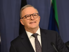 Novas pesquisas mostram que Anthony Albanese e o Partido Trabalhista se recuperaram de One Nation após a reação dos impostos sobre a propriedade e a pressão da ‘monocultura’ de Pauline Hanson – mas ainda é um problema sério para a coalizão