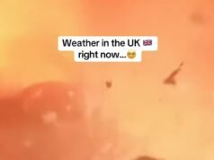 Os britânicos inundam as redes sociais com memes em um calor recorde – já que o Met Office diz que as temperaturas vão esfriar esta semana antes de ficarem ‘muito quentes’ novamente