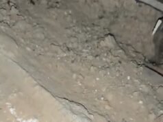 Equipes de resgate do terremoto na Venezuela descobrem edifícios desabados ‘mantidos por isopor’ enquanto o número de mortes catastróficas sobe para 1.430