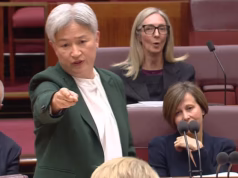 Penny Wong aponta o dedo para os liberais depois que Jane Hume zomba do deslize da Sky News por chamá-la de ‘garota do dinheiro’