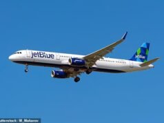 Avião JetBlue colidiu com drone ao pousar no aeroporto JFK de Nova York