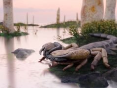 Um escorpião gigante do tamanho de uma mesa de centro está forçando os cientistas a repensar a evolução