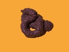 Existe uma lei universal na forma de todos os papas, revelaram os físicos: Science Alert