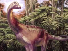 O primeiro fóssil de dinossauro descoberto na Antártica é identificado como Titanossauro