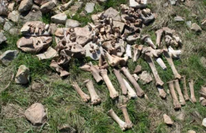 O mistério de 1.100 anos do local perdido de caça ao bisão em Montana foi finalmente resolvido