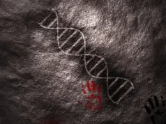 DNA antigo compartilhado com Neandertais pode explicar a linguagem humana