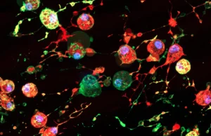 Cientistas descobrem “pegadas de morte” ocultas que podem ajudar a propagação de vírus